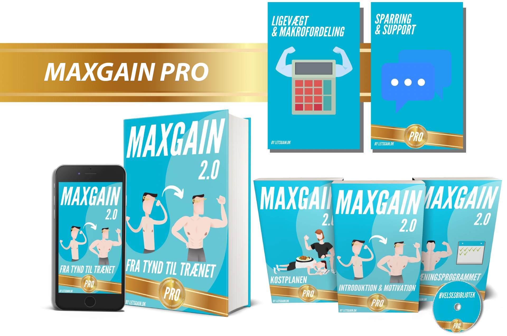 MAXGAIN